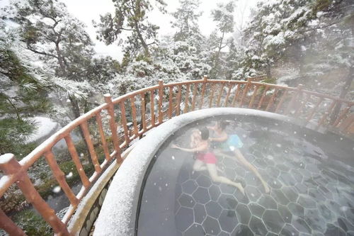 蒙山旅游度假區(qū)圓滿收官，累計(jì)接待游客26.07萬(wàn)人次，實(shí)現(xiàn)旅游綜合收入1060.29萬(wàn)元