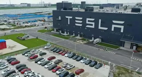 外企就是外企 在特斯拉工廠工作的朋友收入與生活一瞥
